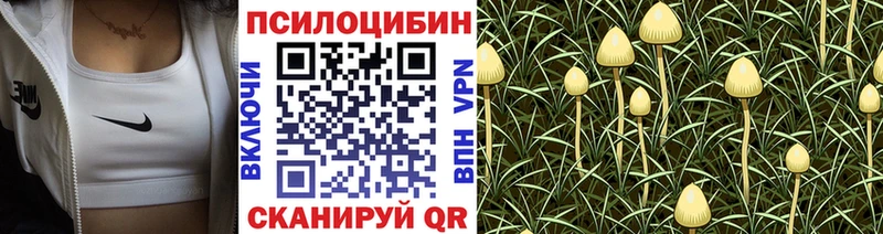 Галлюциногенные грибы Psilocybine cubensis  маркетплейс Telegram  Краснозаводск 